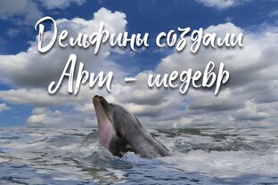Разное