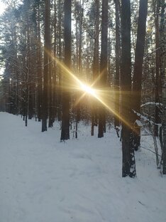 Притчи