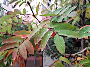 Фотографии