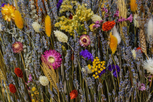 ВЫ И ВАШ РЕБЕНОК