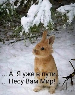 С праздником!