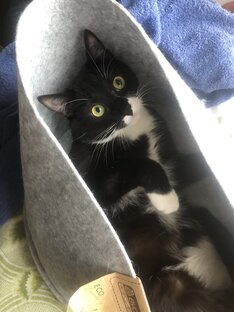 Мой тик ток🫵