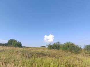 Власова яма 