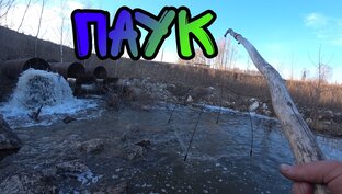 Рыбалка на Паук