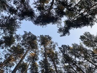 Природа и туризм