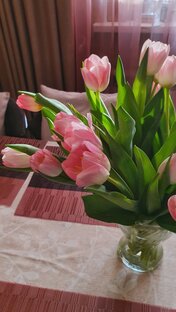 Весенний гардероб