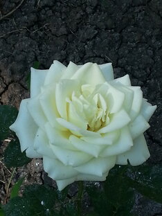 Юг. Мои планы. 