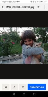 Любимые питомцы