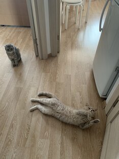 Привет 😻❤️🤗