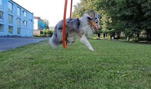 Замедленная съёмка