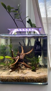 Аквариум (для чайников)