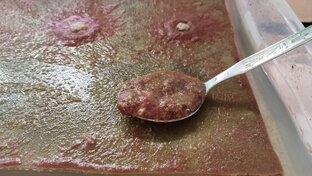 Аулофорус
