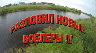 Отчеты с рыбалки!!! 