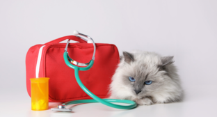 Справочник по оказанию первой помощи