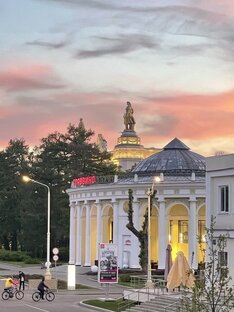 Статьи о вине