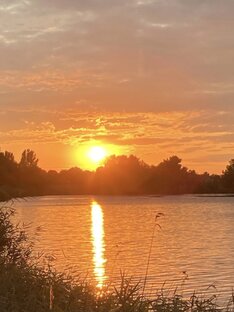 Про любовь. И про сайты знакомств.