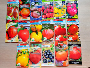 Дачные забавы. Сад и огород