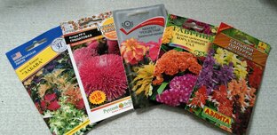 Обзор семян 2023