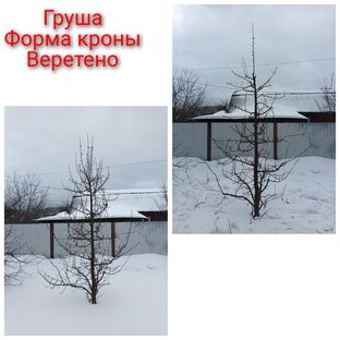 Фото моих работ с объектов