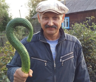 Созрел вопрос...