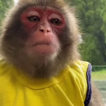 Женская торговля