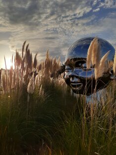 Обои на телефон