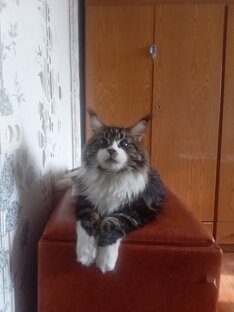 Видео поздравления.