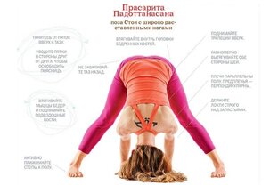 Хатха и аштанга йога, теория