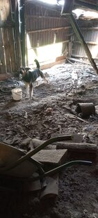 Суровая правда жизни