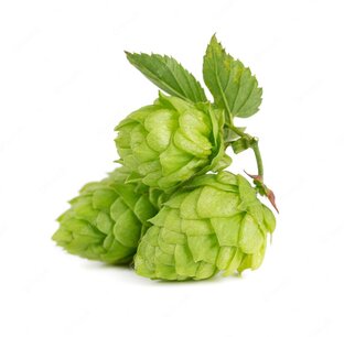 Крафтовое пиво