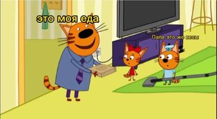 Мои муды