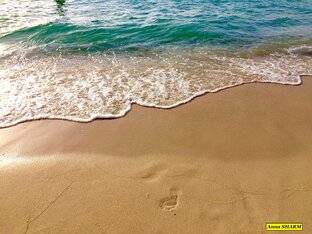 ОАЭ. Дубай - райский уголок.