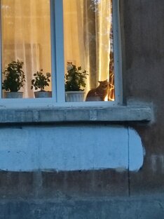 Челлендж добра💕