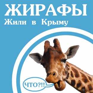 Крым| Интересное