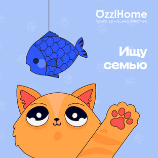 Хочу домой❤️