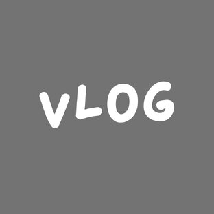 Vlog