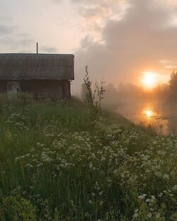 Новая старая жена