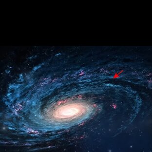 Вселенная - живая! 