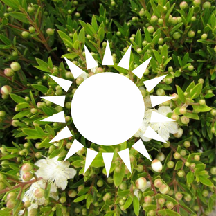 СЧАСТЬЕ☀️