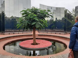 Ботанические сады и Парки