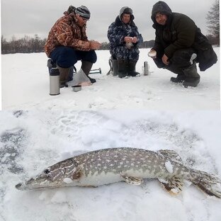 ЗИМНЯЯ РЫБАЛКА 