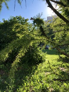 Путешествуя в Дзене