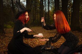 Дела ведьминские