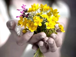 Наши друзья