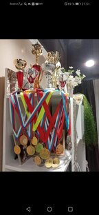Соревнования, выступления