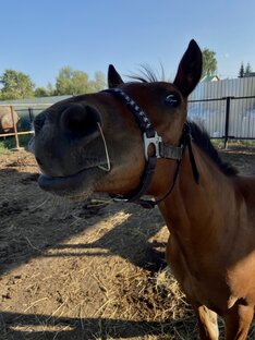 Удмуртия 🤍✨