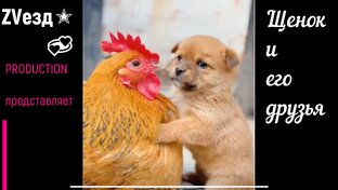 Братья наши меньшие