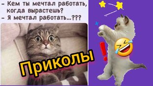 Юмор