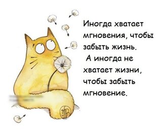 Размышления