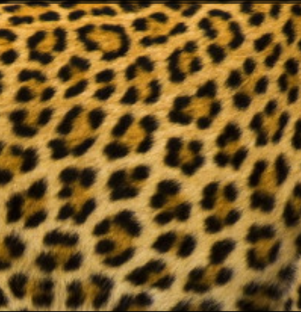 Она иногда читает...